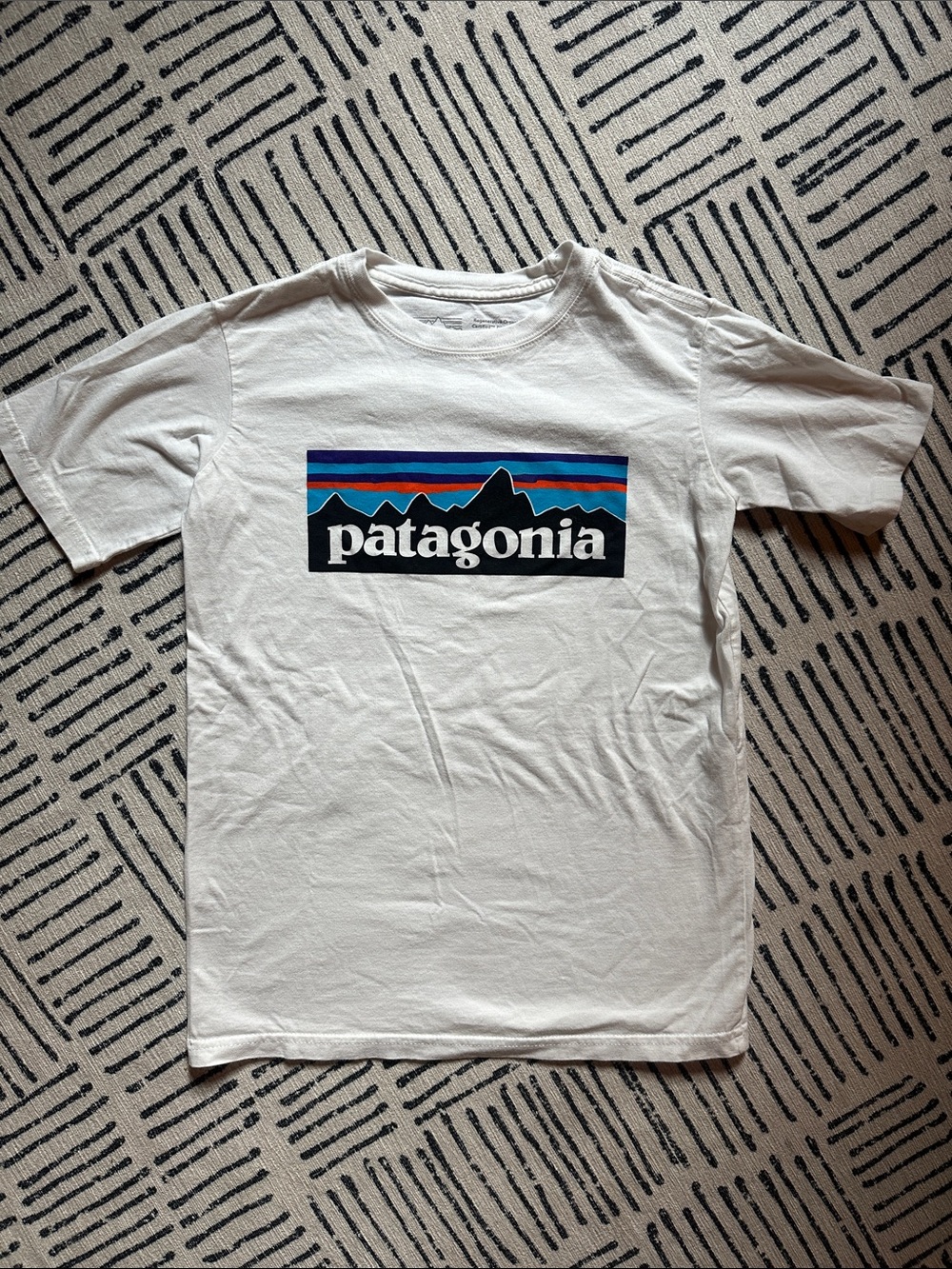 Patagonia kids White Tee with Multicolor Mountain Logo